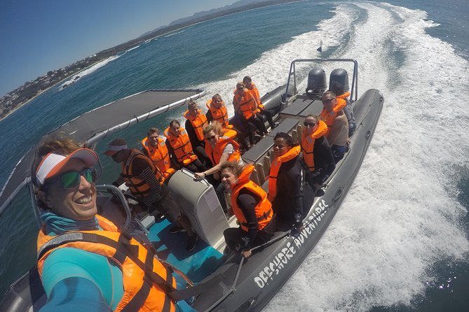 Swim with Seals - Swimming with seals near Plettenberg Bay