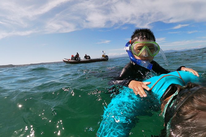 Swim with Seals - Weather, cancellation, and practical planning