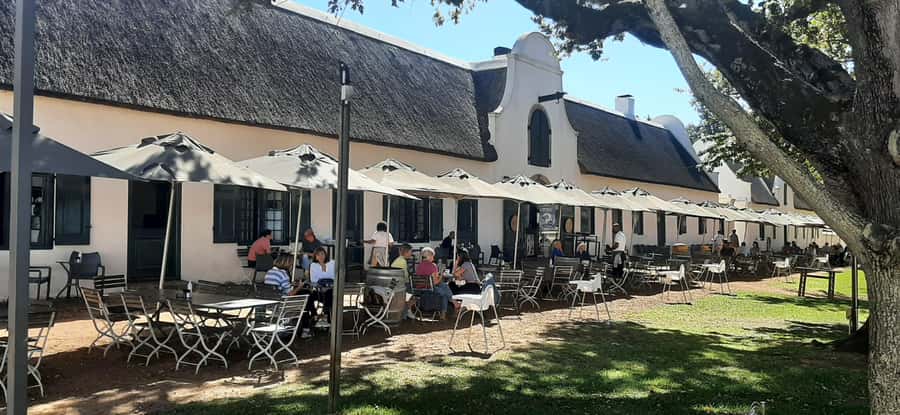 Table Mountain and Stellenbosch Wine tasting tour - Two hours above Cape Town on Table Mountain