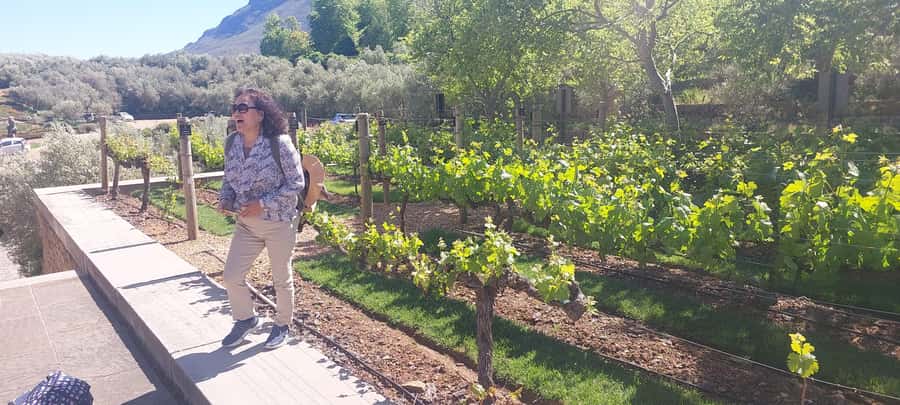 Table Mountain and Stellenbosch Wine tasting tour - Should you book it?