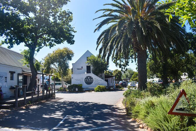 Table Mountain, Boulders Penguins & Cape point Private Day Tour - A short ostrich stop before the national park