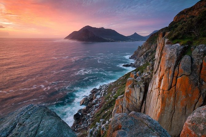 Table Mountain, Boulders Penguins & Cape point Private Day Tour - Cape Point Nature Reserve: wildlife and open space