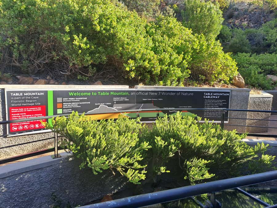 Table Mountain Cable Car Ticket with Transfer - Who will get the most from this experience