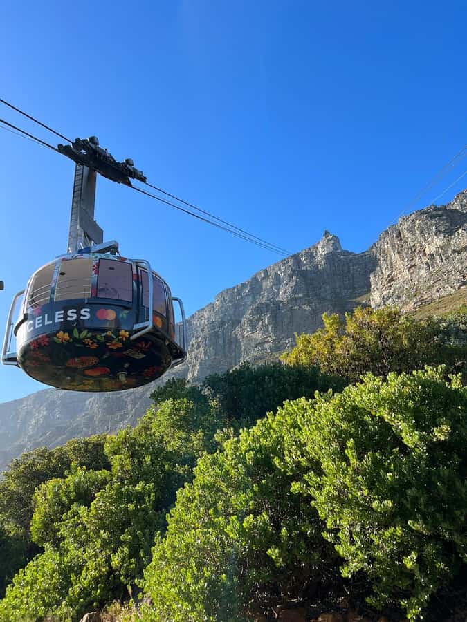 Table Mountain, Cape Of Good Hope, Penguins, Full Day Tour - Chapman’s Peak to Simon’s Town