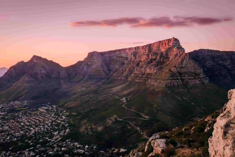 Table Mountain, Cape of Good Hope & Penguins Private Tour - Table Mountain in one focused hour