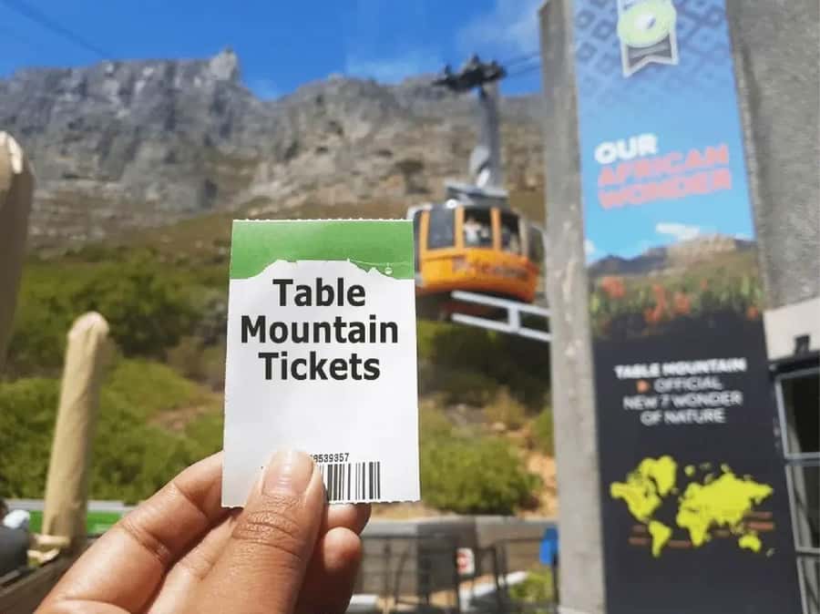 Table Mountain, Cape of Good Hope & Penguins Shared Tour - Boulders Beach: the penguins are the day’s most charming stop