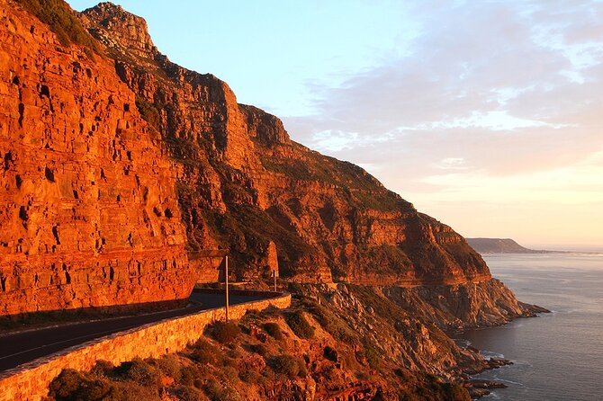 Table Mountain, Cape Point & Penguin Beach ENTRANCE INCLUDED - Boulders Beach and the African penguin colony