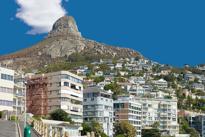 Table Mountain, Cape Point & Penguin Beach ENTRANCE INCLUDED - Lunch in Fish Hoek is on your own