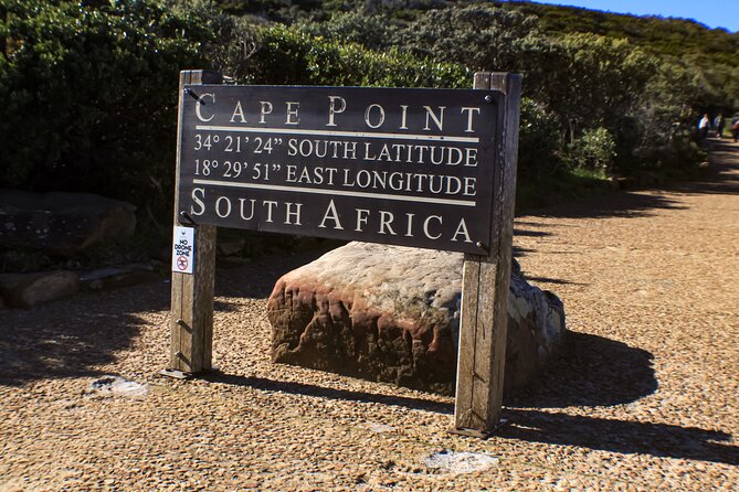 Table Mountain, Chapmans Peak Drive, Cape Point & Penguins - Meeting the penguins at Boulders Beach