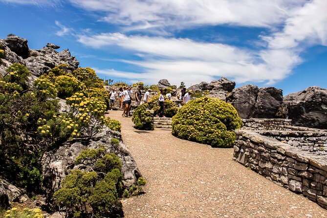 Table Mountain, Chapmans Peak Drive, Cape Point & Penguins - What the $109.85 price really covers