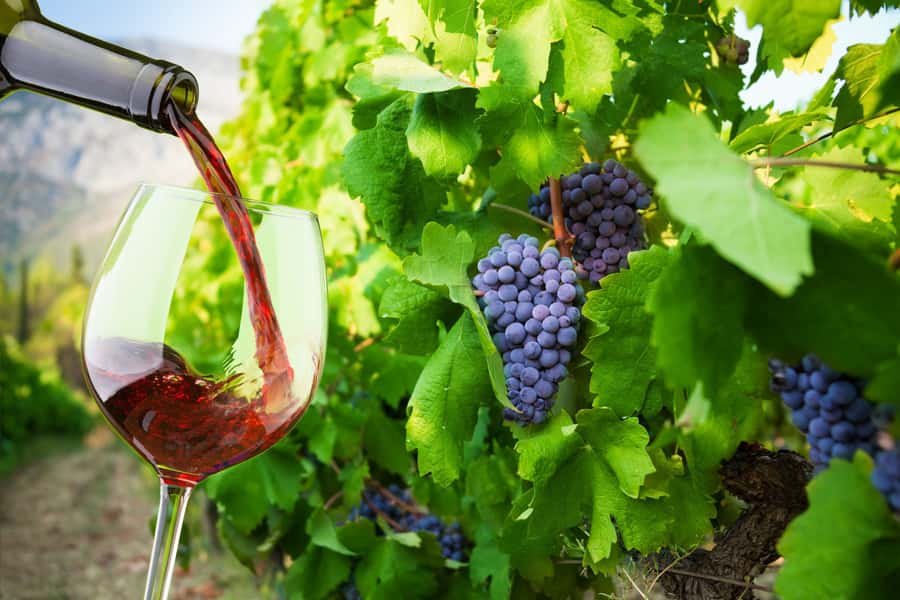 Table Mountain & Constantia Wine Estate Private Combo Tour - Guides, Language, and Private Touring