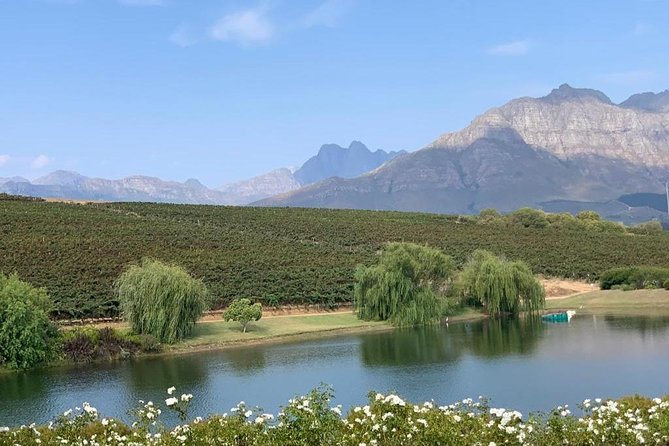 Table Mountain & Constantia Wine Tasting Full Day Tour. - Klein Constantia and the False Bay outlook