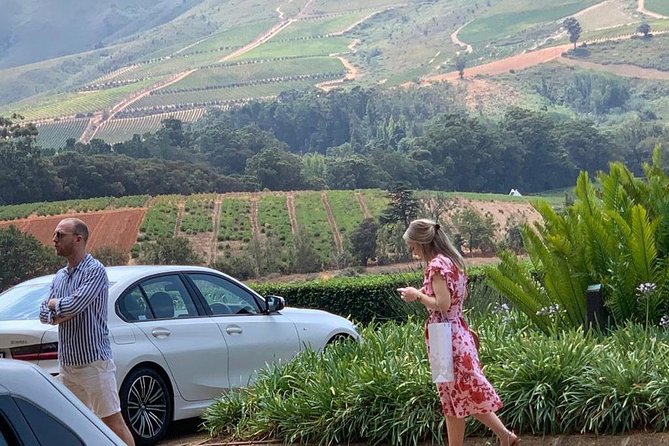 Table Mountain & Constantia Wine Tasting Full Day Tour. - What your driver-guide adds