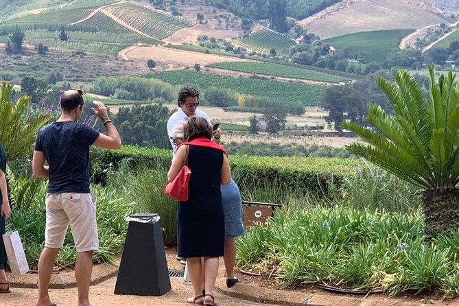 Table Mountain & Constantia Wine Tasting Full Day Tour. - Who will enjoy this day most?