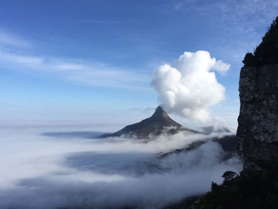 Table Mountain: Easy walk for the Whole Family - PRIVATE - Why the Camps Bay Pipe Track works for families