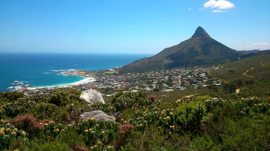 Table Mountain: Easy walk for the Whole Family - PRIVATE - Looking across Camps Bay and Bakoven