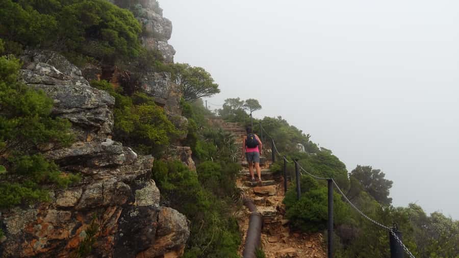 Table Mountain: Easy walk for the Whole Family - PRIVATE - Is $137 per person good value?