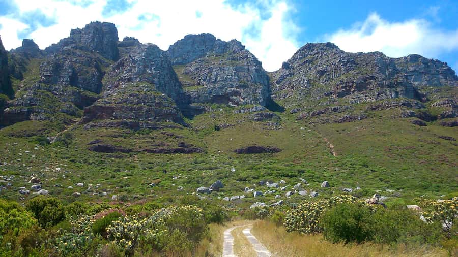 Table Mountain: Easy walk for the Whole Family - PRIVATE - Kloof Nek and the first stretch of the route