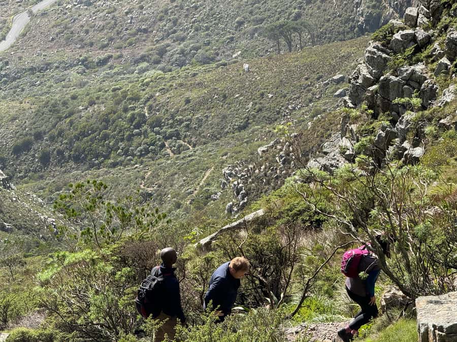 Table Mountain Group Hike - Solo Travelers welcome - Key points to know before you book