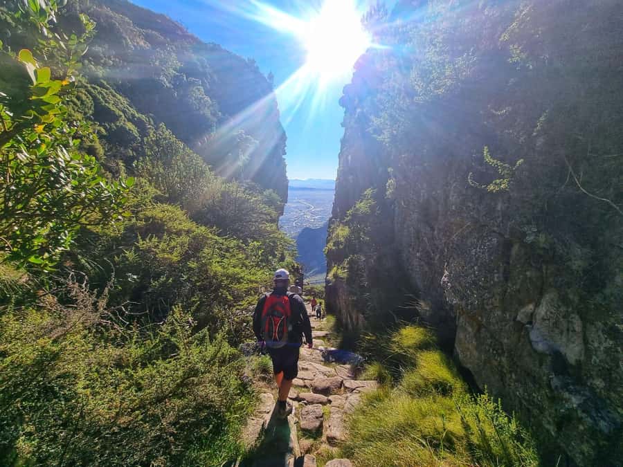 Table Mountain Group Hike - Solo Travelers welcome - What the Platteklip Gorge route is really like
