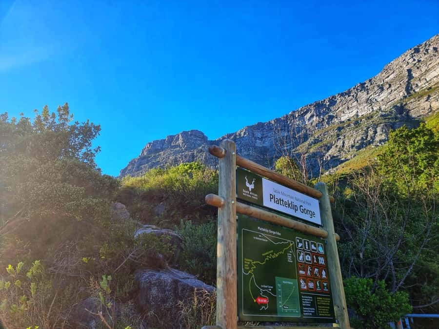 Table Mountain Group Hike - Solo Travelers welcome - Meeting at Tafelberg Road without confusion