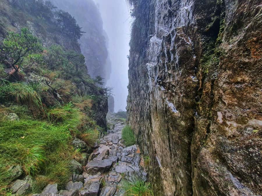 Table Mountain Group Hike - Solo Travelers welcome - The climb itself, from rocky gorge to open views