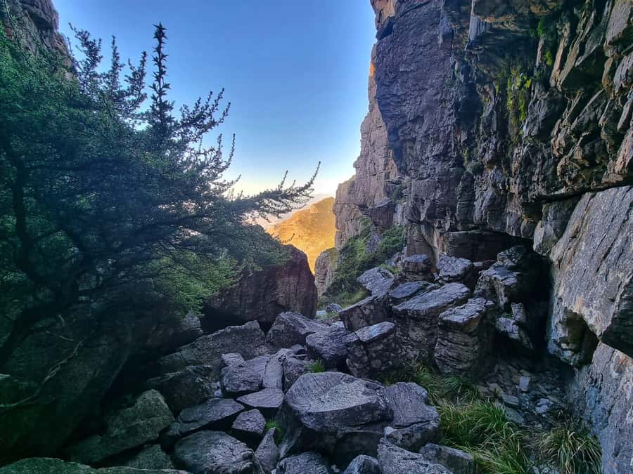 Table Mountain Group Hike - Solo Travelers welcome - The guide quality makes the biggest difference