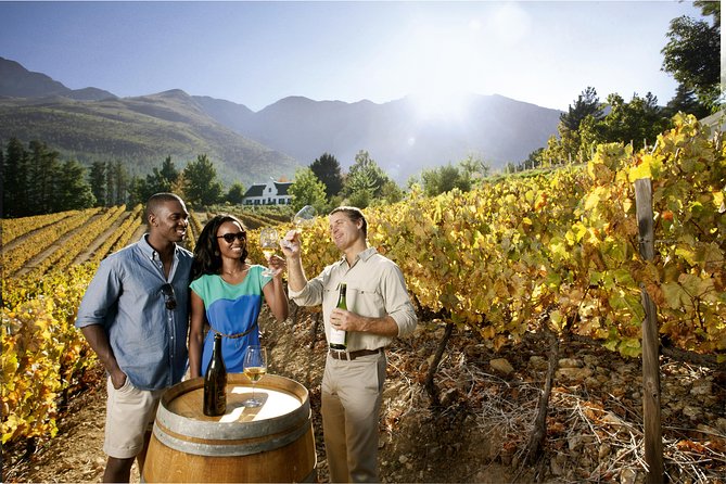 Table Mountain, Kirstenbosch and Constantia Winelands Full Day Private Tour - Why this three-stop plan works