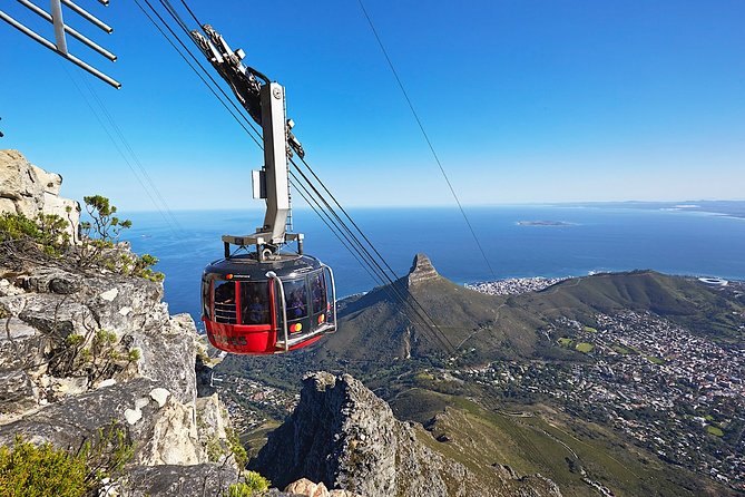 Table Mountain, Kirstenbosch and Constantia Winelands Full Day Private Tour - Who should book this private Cape Town day?