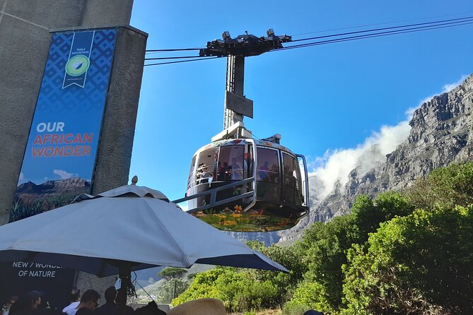 Table Mountain, Penguins & Cape of Good Hope Private Tour - Key points to know before booking