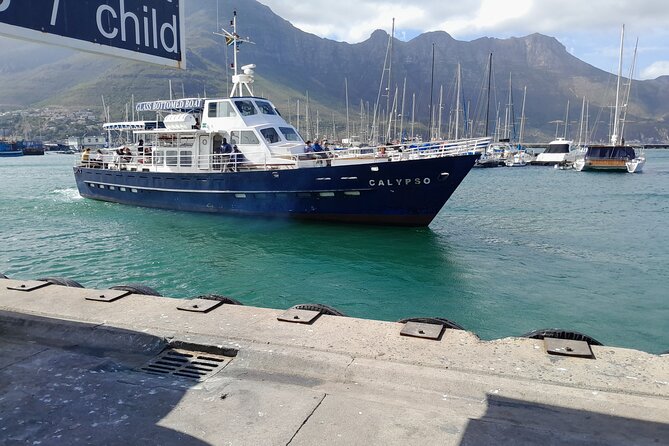Table Mountain, Penguins & Cape of Good Hope Private Tour - Hout Bay and the optional Seal Island trip