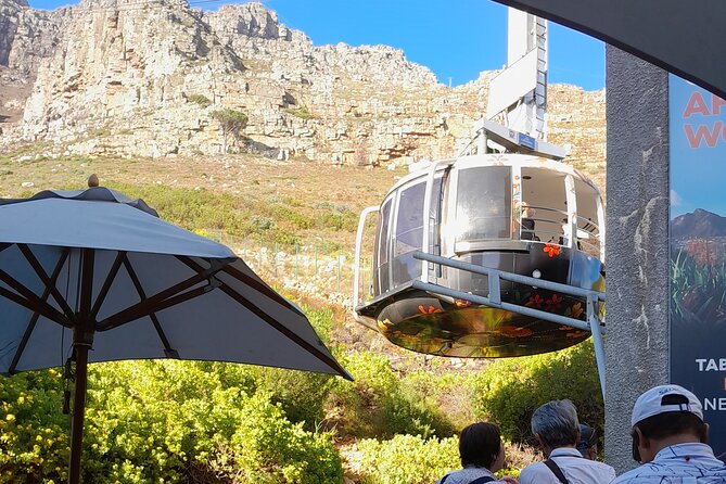 Table Mountain, Penguins & Cape of Good Hope Private Tour - Cape of Good Hope and the southern edge of the peninsula