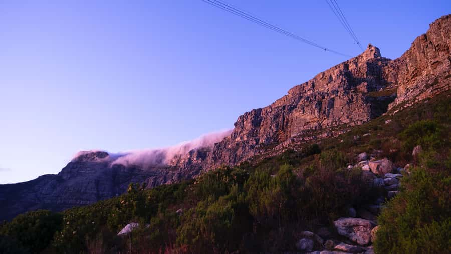 Table Mountain, Penguins & Cape of Good Hope Private Tour - Boulders Beach and the African penguins