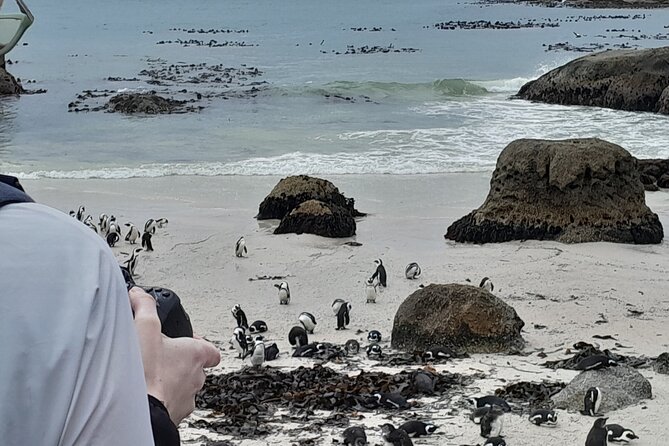 Table Mountain, Penguins & Cape of Good Hope Private Tour - Table Mountain before the crowds of the peninsula