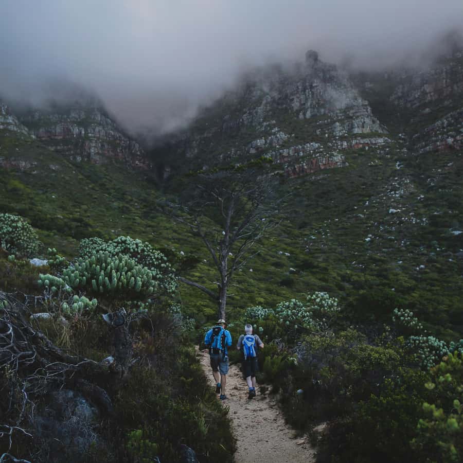 Table Mountain: Skeleton Gorge Hike - From Kirstenbosch gardens to Skeleton Gorge