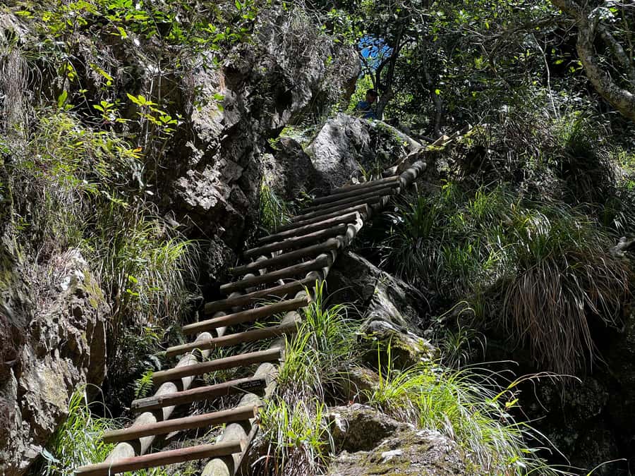 Table Mountain: Skeleton Gorge Hike - Reaching Hely-Hutchinson Dam