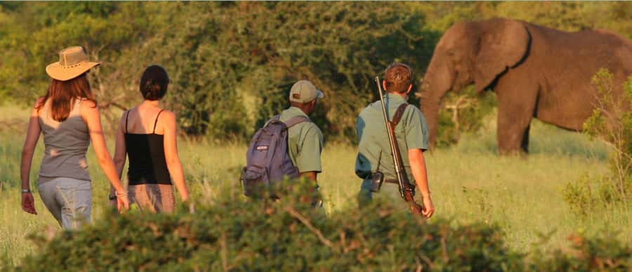 Tala Game Reserve & Natal Lion Park 1/2 Day Tour from Durban - Tala Game Reserve and its two-hour drive