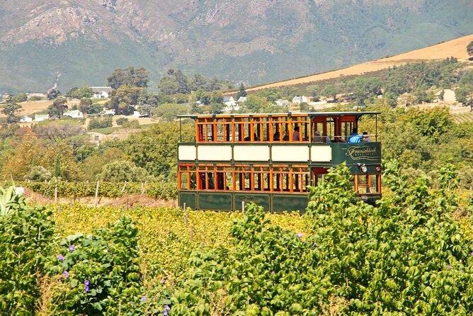 Taste + Tram the Winelands Tour: Franschhoek, Stellenbosch, Paarl - Muratie ends the day with old cellars and port-style wines
