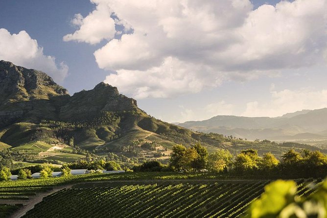 Taste + Tram the Winelands Tour: Franschhoek, Stellenbosch, Paarl - What to expect from the cost and practical details