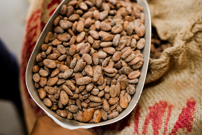 The Art of Chocolate Making Bean-To-Bar Experience in Cape Town - Is $10.79 good value?