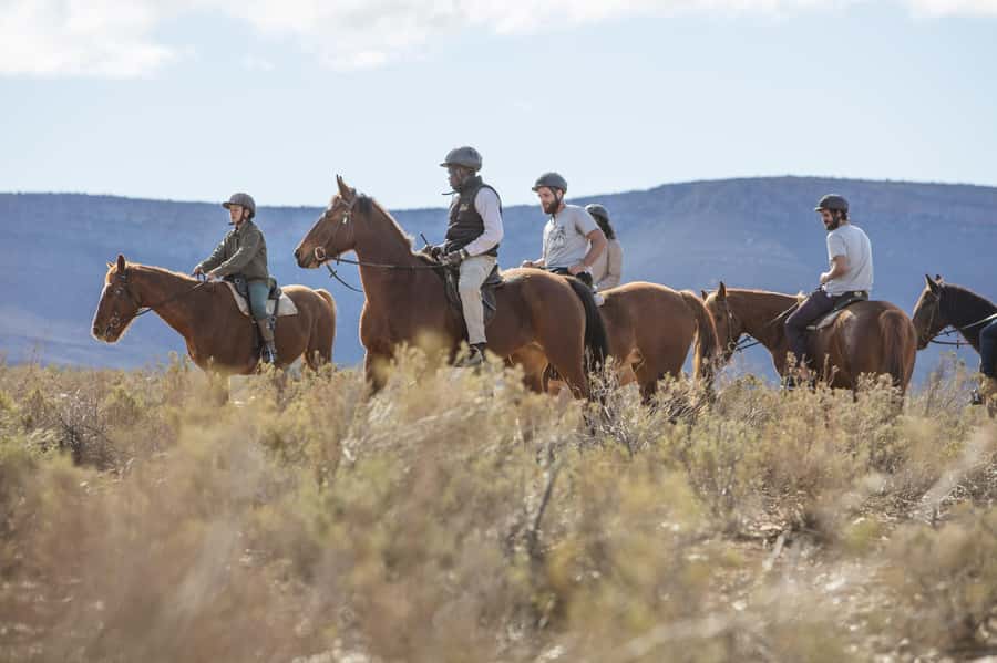 The Best Private Cape Town Safari Day Trip - Aquila Big 5 - A Cape Town Safari Without a Flight