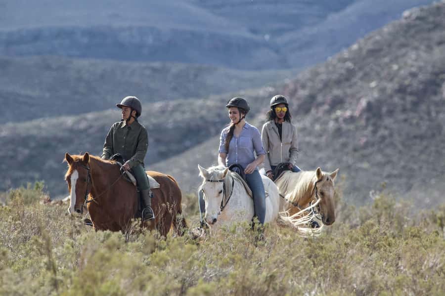 The Best Private Cape Town Safari Day Trip - Aquila Big 5 - The Drive Into the Karoo