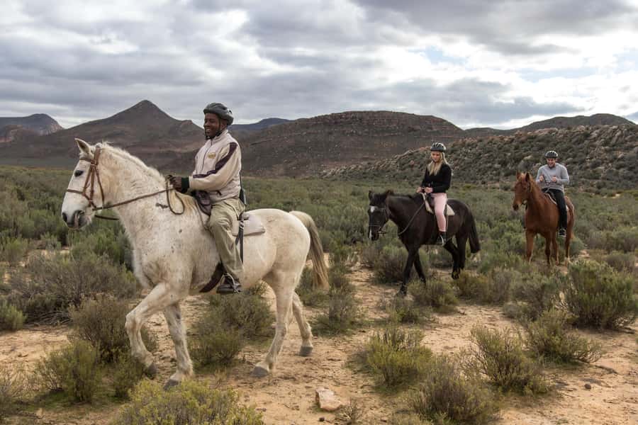 The Best Private Cape Town Safari Day Trip - Aquila Big 5 - The 2 to 3-Hour Traditional Safari Drive