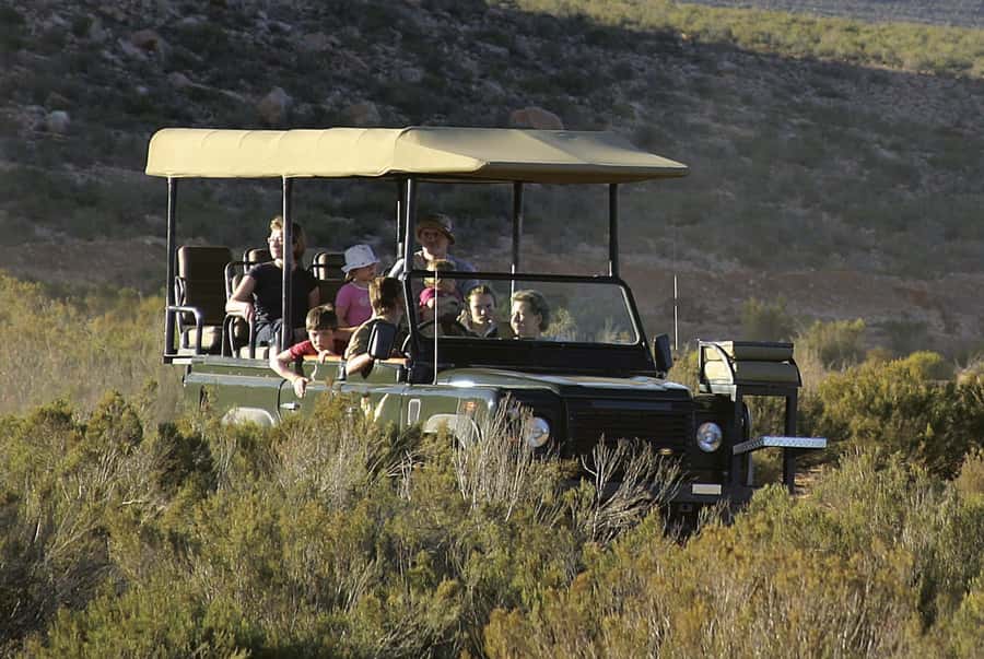 The Best Private Cape Town Safari Day Trip - Aquila Big 5 - Lunch and the Quiet Middle of the Day