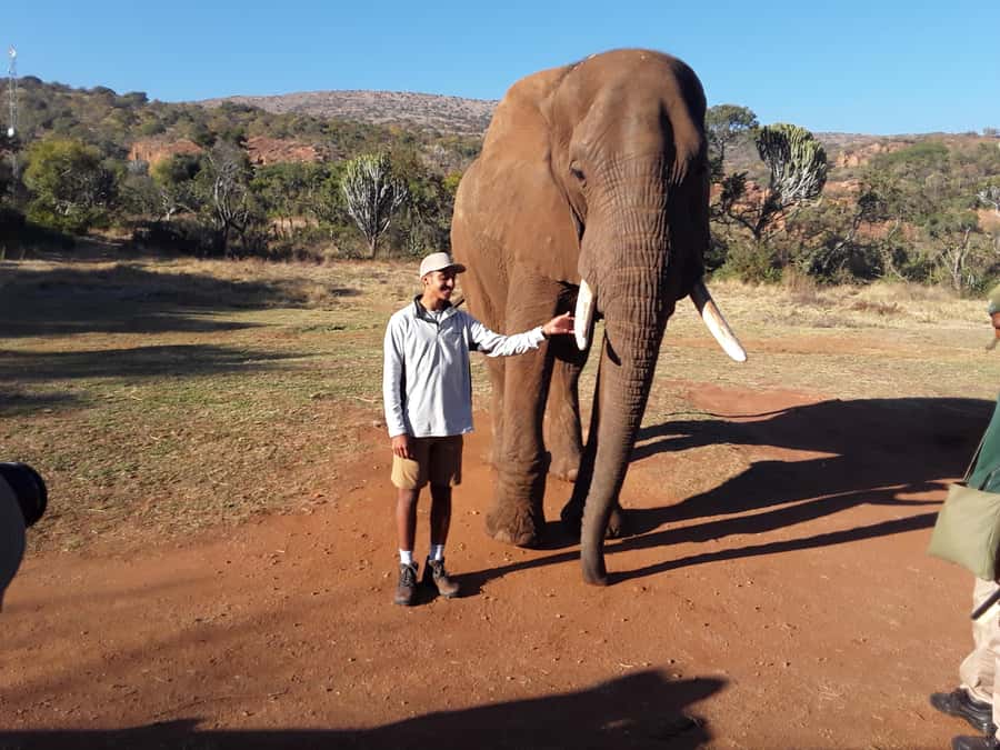 The Elephant and Monkey Sanctuary. - The monkey visit brings a different kind of fun