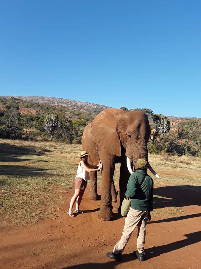 The Elephant and Monkey Sanctuary. - What kind of visitor will enjoy this most