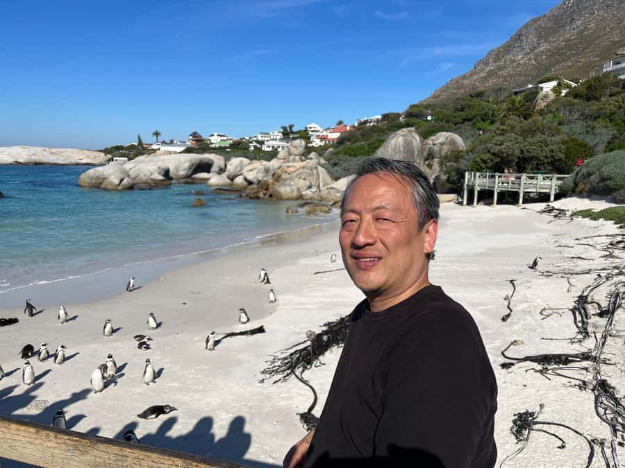 The Ultimate Cape of Good Hope Experience - Kalk Bay and the fishing-village pause