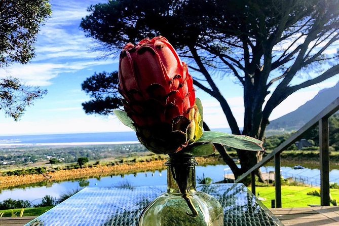 Three Day Private tour: Table Mountain, City, Cape Peninsula and Winelands - Day Two: gardens, wine, and two historic Cape towns