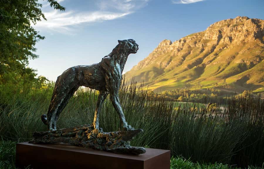 Tour the Winelands: Stellenbosch to Franschhoek - Tokara brings wine, views, and lunch options