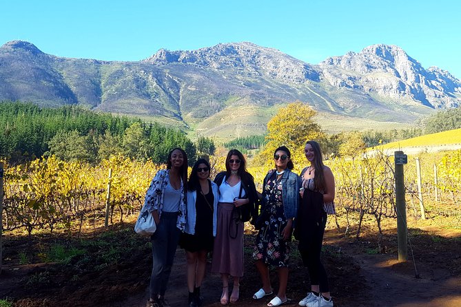 Vine Hopper: Hop-On Hop-Off Wine Tour - Northern Route - How the hop-on hop-off system really works